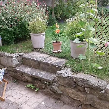 Maisonnette L'olivier Bleu Hébergement de vacances *