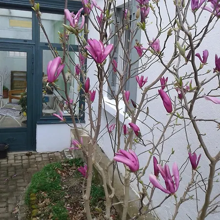 Maisonnette L'olivier Bleu * 南特