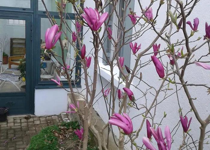 Maisonnette L'olivier Bleu * 南特